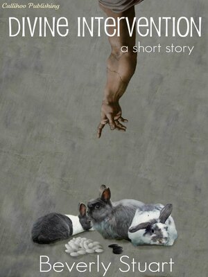 cover image of Divine Intervention